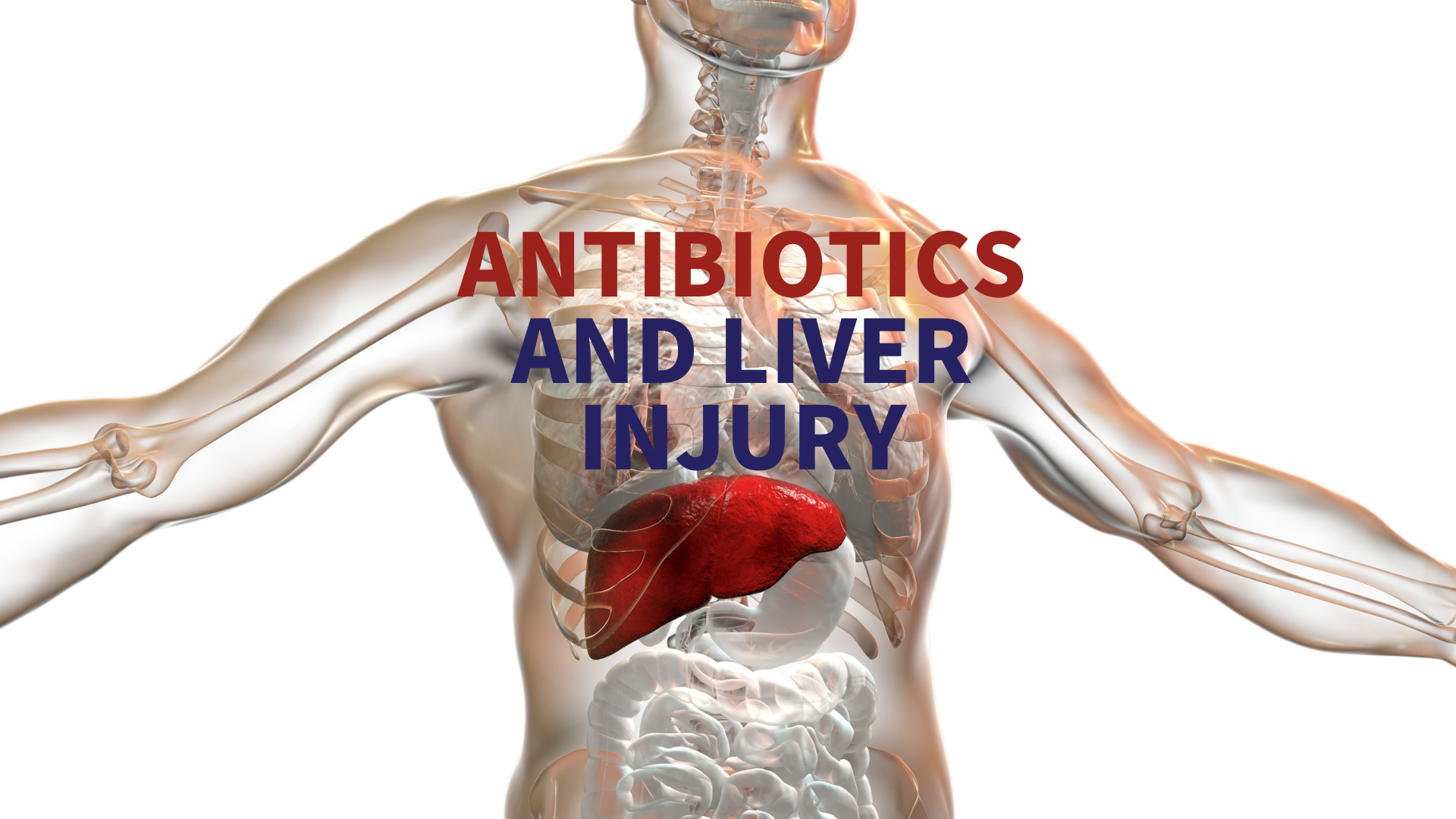 antibiotics-and-liver-injury-cooling-habits